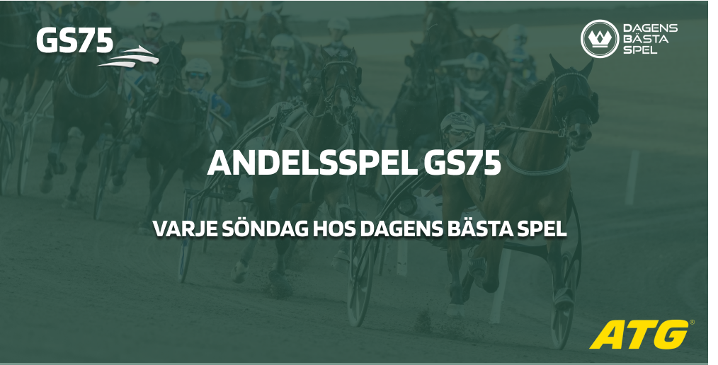 Gs75 andelsspel