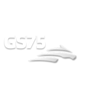 Gs75 vit